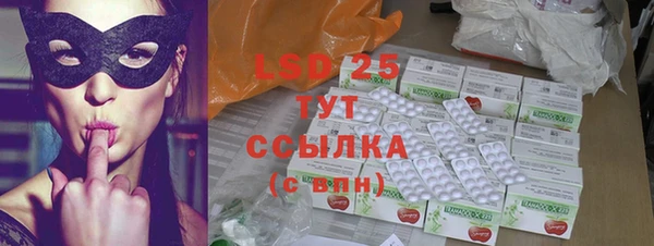 стаф Кулебаки