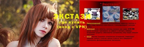 стаф Кулебаки