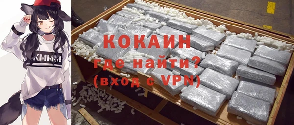стаф Кулебаки