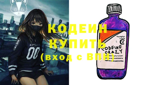 стаф Кулебаки