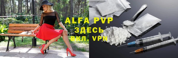 стаф Кулебаки
