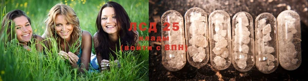 стаф Кулебаки