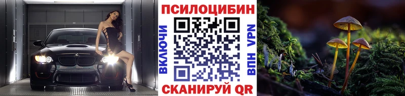 Галлюциногенные грибы Cubensis  Купить закладки  Ивангород 