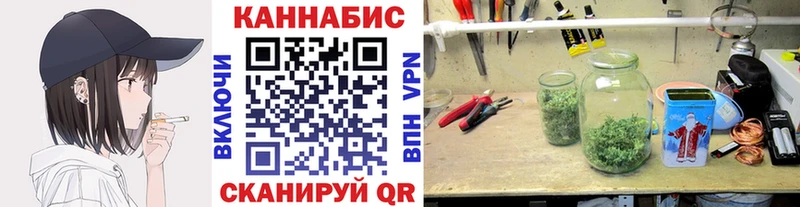 Купить где  Ивангород  МАРИХУАНА планчик 